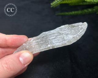 Selenite Crystal - Spain #3