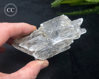 Selenite Crystal - Spain #4