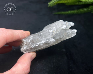 Selenite Crystal - Spain #4