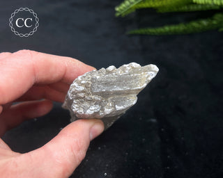 Selenite Crystal - Spain #4