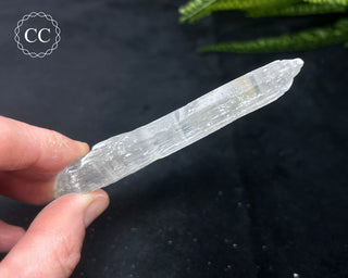Selenite Crystal - Spain #6