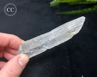 Selenite Crystal - Spain #6
