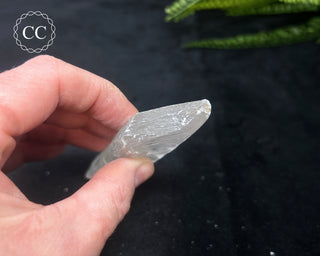 Selenite Crystal - Spain #6