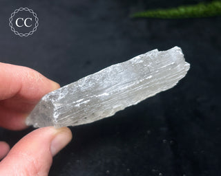 Selenite Crystal - Spain #7