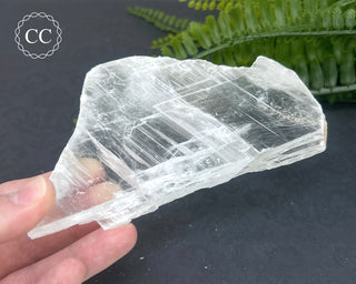 Selenite Utah #16