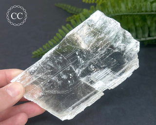 Selenite Utah #19