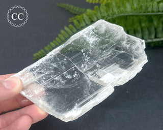 Selenite Utah #19