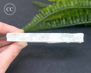 Selenite Utah #19