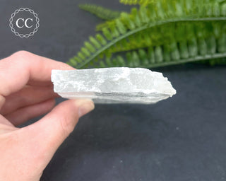 Selenite Utah #19