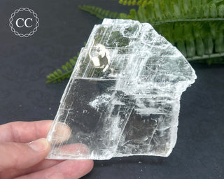 Selenite Utah #20