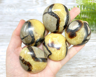 Septarian Chunky Palm Stones in hand