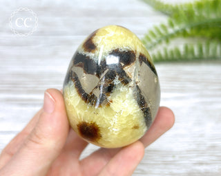 Septarian Egg #2