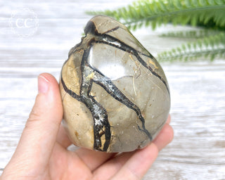 Septarian Freeform #10