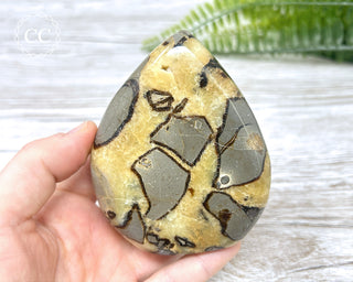 Septarian Freeform #22