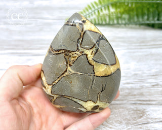 Septarian Freeform #22