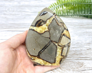 Septarian Freeform #18