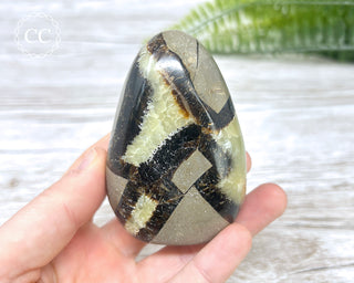 Septarian Freeform #25