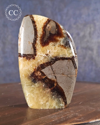 Septarian Freeform #1