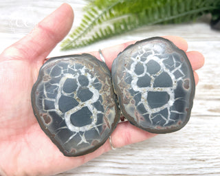 Septarian Nodule Pair #1