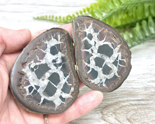 Septarian Nodule Pair #2