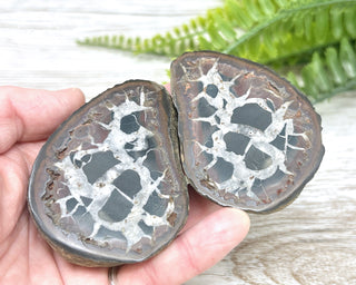 Septarian Nodule Pair #2