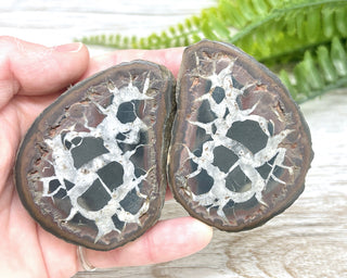 Septarian Nodule Pair #2