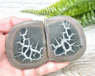 Septarian Nodule Pair #3