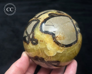 Septarian Sphere #2