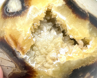 Septarian Sphere #3