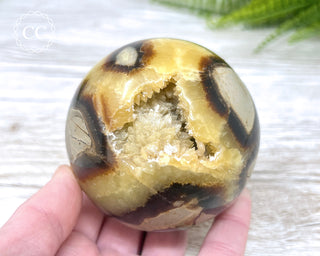 Septarian Sphere #3