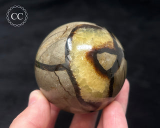 Septarian Sphere #3