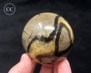 Septarian Sphere #3