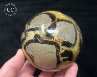 Septarian Sphere #2