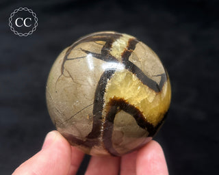 Septarian Sphere #3