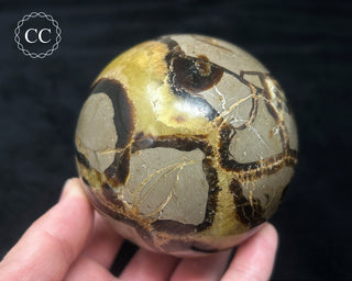 Septarian Sphere #2