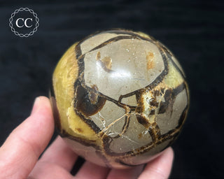 Septarian Sphere #2