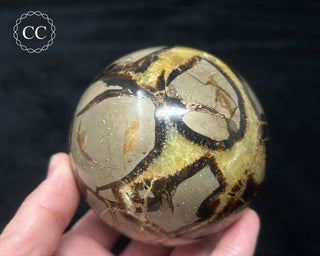 Septarian Sphere #2