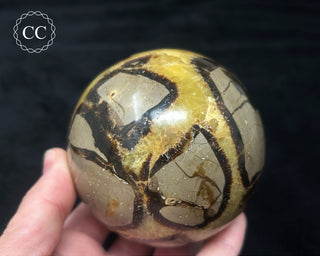 Septarian Sphere #2