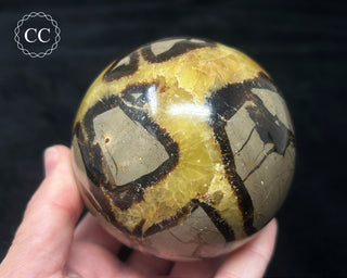 Septarian Sphere #2