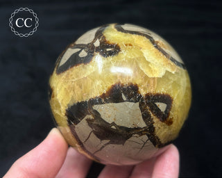 Septarian Sphere #2