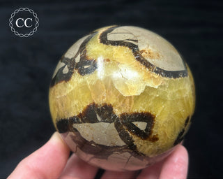 Septarian Sphere #2