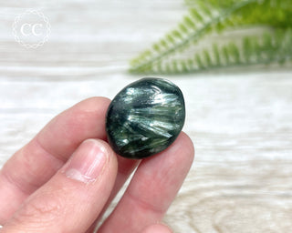 Seraphinite Polished Pebble #1