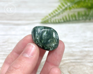 Seraphinite Polished Pebble #2