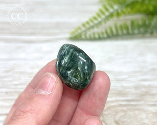 Seraphinite Polished Pebble #2