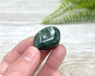 Seraphinite Polished Pebble #2