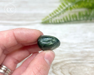 Seraphinite Polished Pebble #2