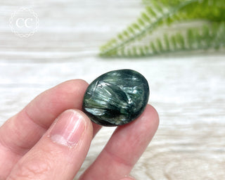 Seraphinite Polished Pebble #1