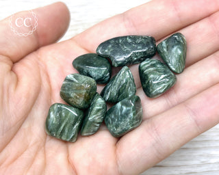 Seraphinite Small Tumbled Crystal