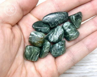 Seraphinite Small Tumbled Crystals in hand