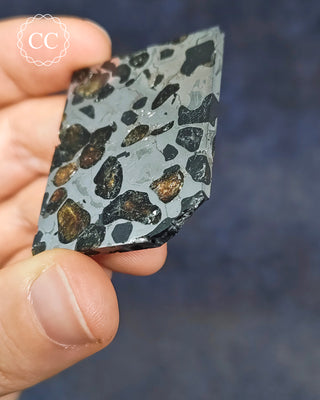 Seymchan Pallasite Meteorite Slice #1